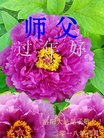 ֹ,ϴ󷨵ӹףʦ(17)