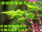 ֹ,ɶ󷨵ӹףʦ(21)