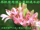 ֹ,ɶ󷨵ӹףʦ(21)