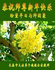 ֹ,󷨵ӹףʦ(20)