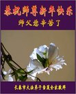 ֹ,󷨵ӹףʦ(23)