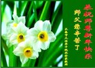 ֹ,󷨵ӹףʦ(19)