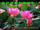 ֹ,󷨵ӹףʦ(20)