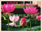 ֹ,󷨵ӹףʦ(19)