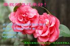 ֹ,󷨵ӹףʦ(19)