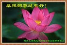 ֹ,󷨵ӹףʦ(19)