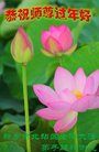法轮功,河南大法弟子恭祝师尊新年好(21条)