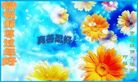 ֹ,ϴ󷨵ӹףʦ(17)