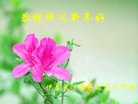 ֹ,󷨵ӹףʦ(19)