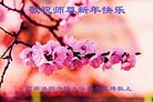 法轮功,河南大法弟子恭祝师尊新年好(17条)