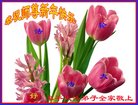 ֹ,ӱ󷨵ӹףʦ(20)