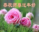 法轮功,辽宁大法弟子恭祝师尊新年好(18条)