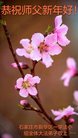 法轮功,石家庄大法弟子恭祝师尊新年好(25条)
