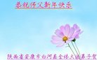 法轮功,陕西大法弟子恭祝师尊过年好(21条)