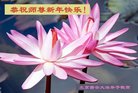 法轮功,北京大法弟子恭祝师尊新年好(20条)