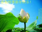 ֹ,󷨵ӹףʦ(19)