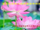 法轮功,北京大法弟子恭祝师尊新年好(23条)
