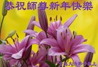 ֹ,ൺ󷨵ӹףʦ(25)