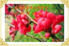 ֹ,ݴ󷨵ӹףʦ(26)