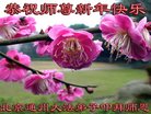 ֹ,󷨵ӹףʦ(20)