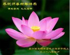 ֹ,ݴ󷨵ӹףʦ(28)