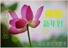 ֹ,ɹŴ󷨵ӹףʦ(22)
