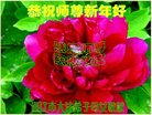 法轮功,内蒙古大法弟子恭祝师尊新年好(22条)