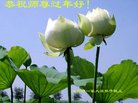 ֹ,󷨵ӹףʦ(18)