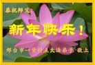 ֹ,ӱ󷨵ӹףʦ(25)