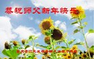法轮功,重庆大法弟子恭祝师尊新年好(21条)