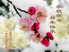 法轮功,山西大法弟子恭祝师尊新年好(18条)
