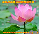ֹ,󷨵ӹףʦ(18)