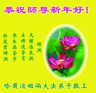 法轮功,哈尔滨大法弟子恭祝师尊新年好(18条)