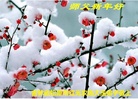 ֹ,ʡ󷨵ӹףʦ(21)