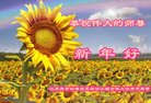 ֹ,մ󷨵ӹףʦ(19)