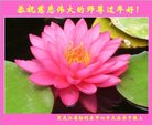 ֹ,󷨵ӹףʦ(18)