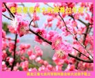 ֹ,󷨵ӹףʦ(18)