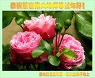 ֹ,󷨵ӹףʦ(18)