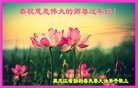 ֹ,󷨵ӹףʦ(18)