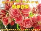ֹ,ɶ󷨵ӹףʦ(21)