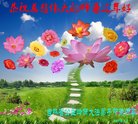 ֹ,ʡ󷨵ӹףʦ(20)