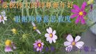 ֹ,Ϫ󷨵ӹףʦ(21)