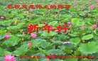 ֹ,󷨵ӹףʦ(18)