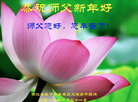 ֹ,󷨵ӹףʦ(20)