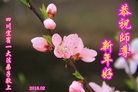 ֹ,Ĵ󷨵ӹףʦ(19)