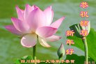 ֹ,Ĵ󷨵ӹףʦ(19)