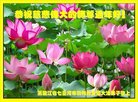ֹ,󷨵ӹףʦ(19)