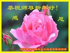 ֹ,ӱ󷨵ӹףʦ(20)