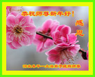 ֹ,ӱ󷨵ӹףʦ(20)
