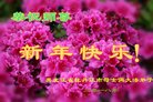 ֹ,󷨵ӹףʦ(19)